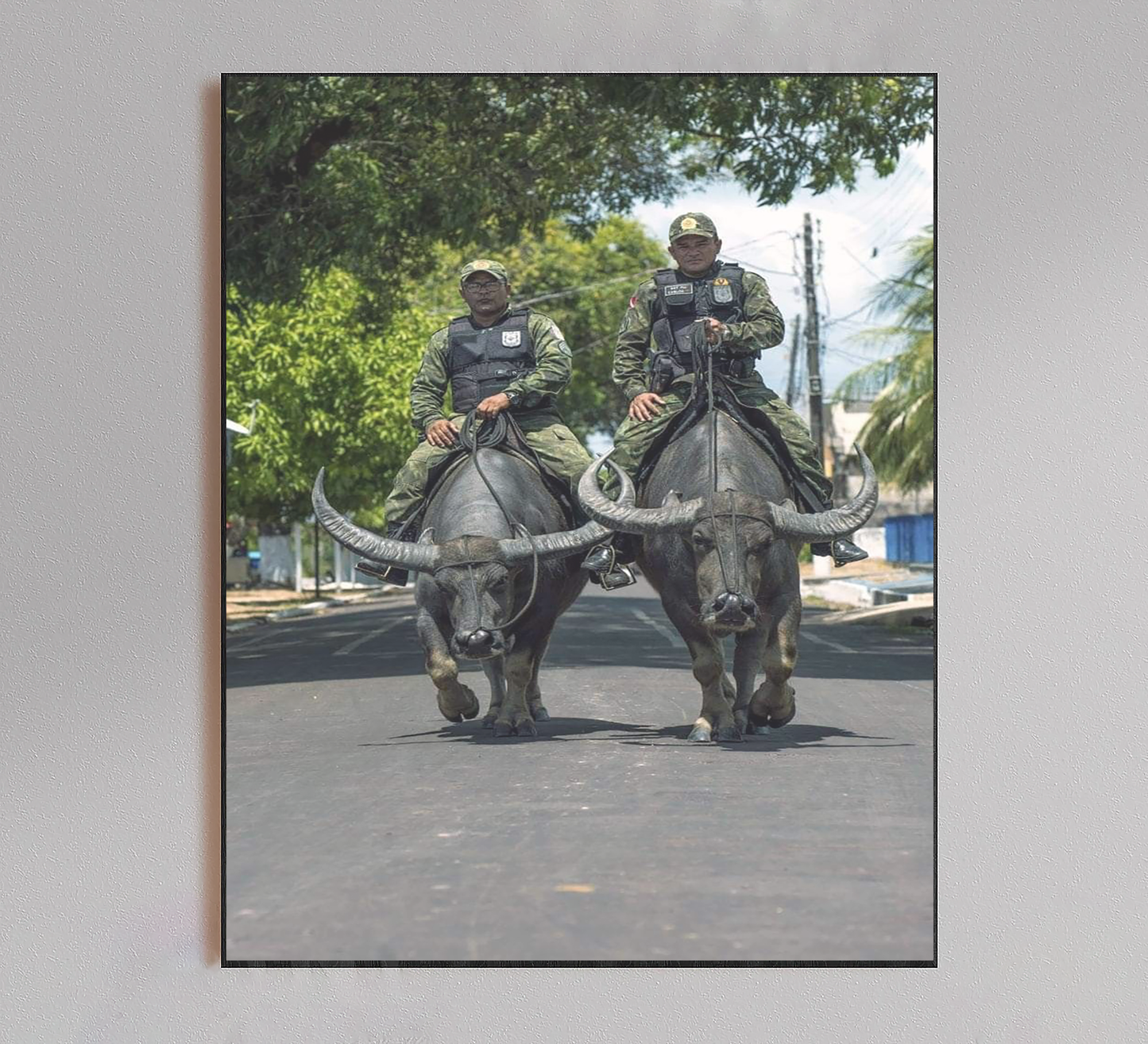 Brazil Buffalo Soldiers Poster