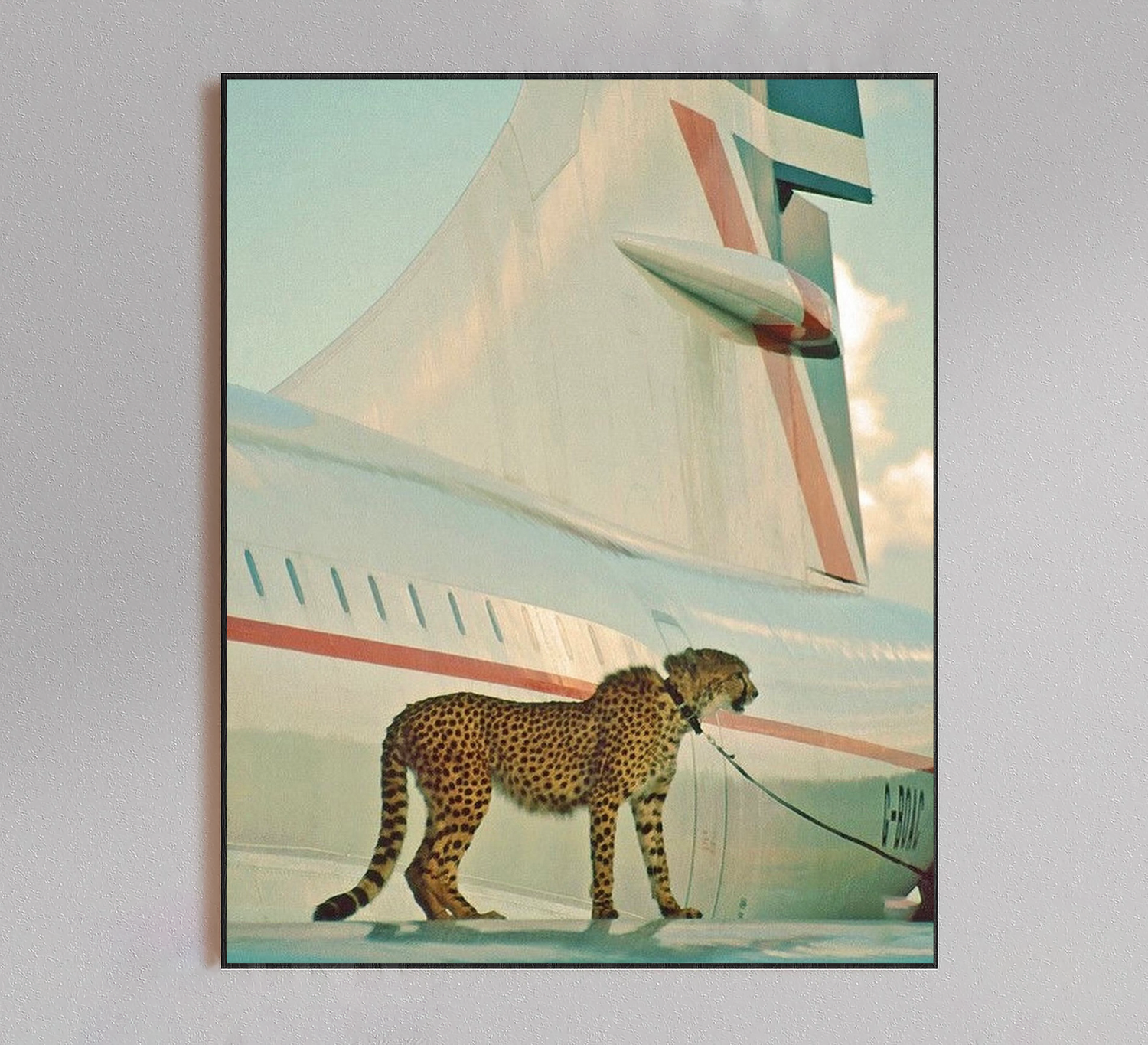 Photographic Prints
