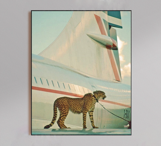 Cheetah on Jet Poster