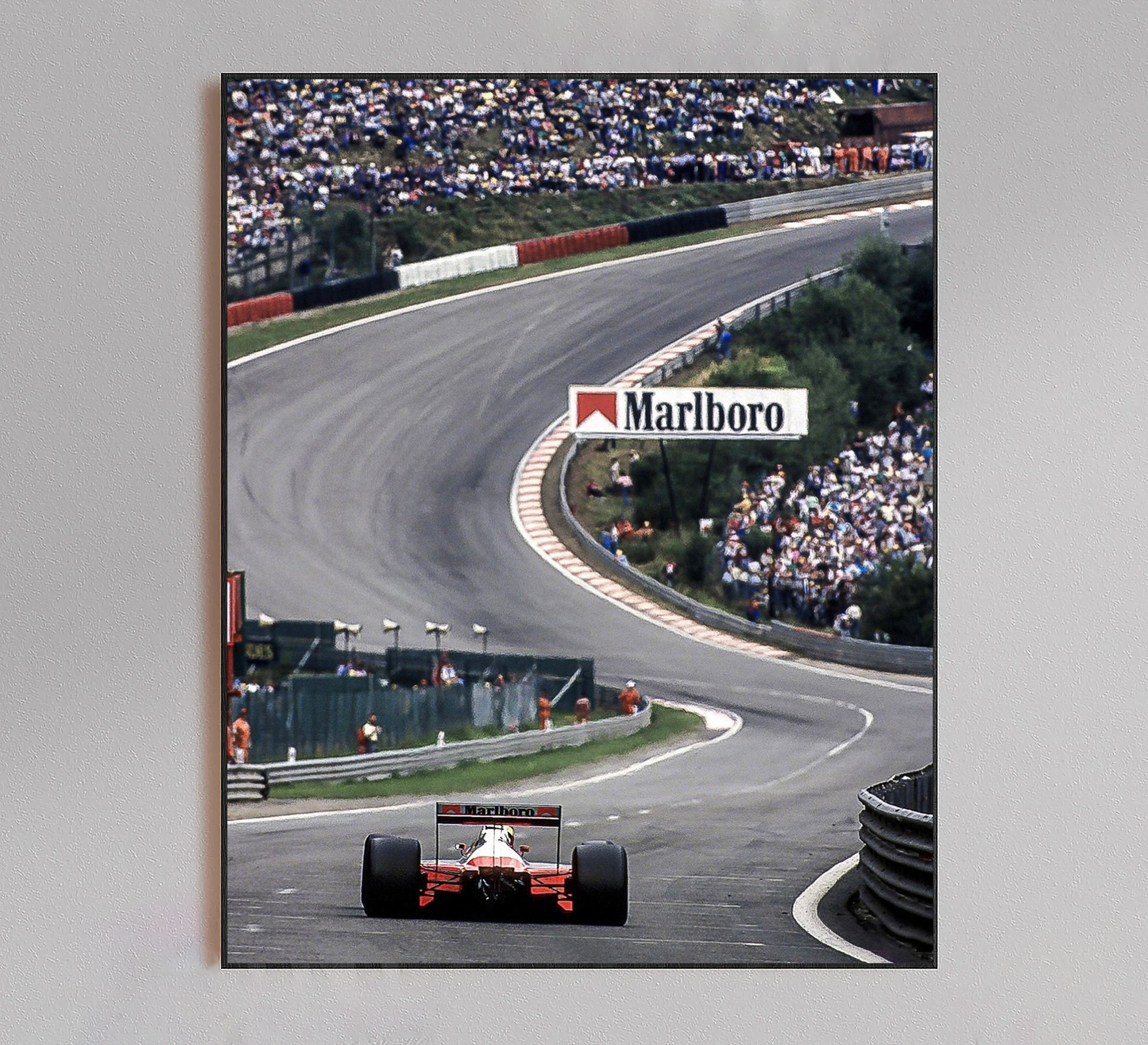 Formula 1 Racing Poster