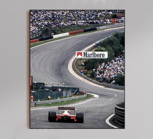 Formula 1 Racing Poster