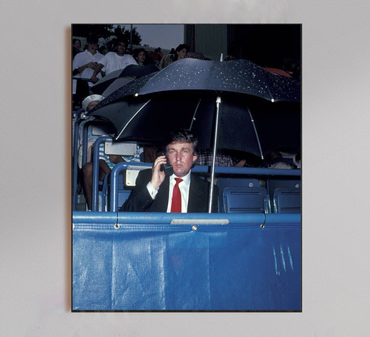 Trump Umbrella Vintage Poster