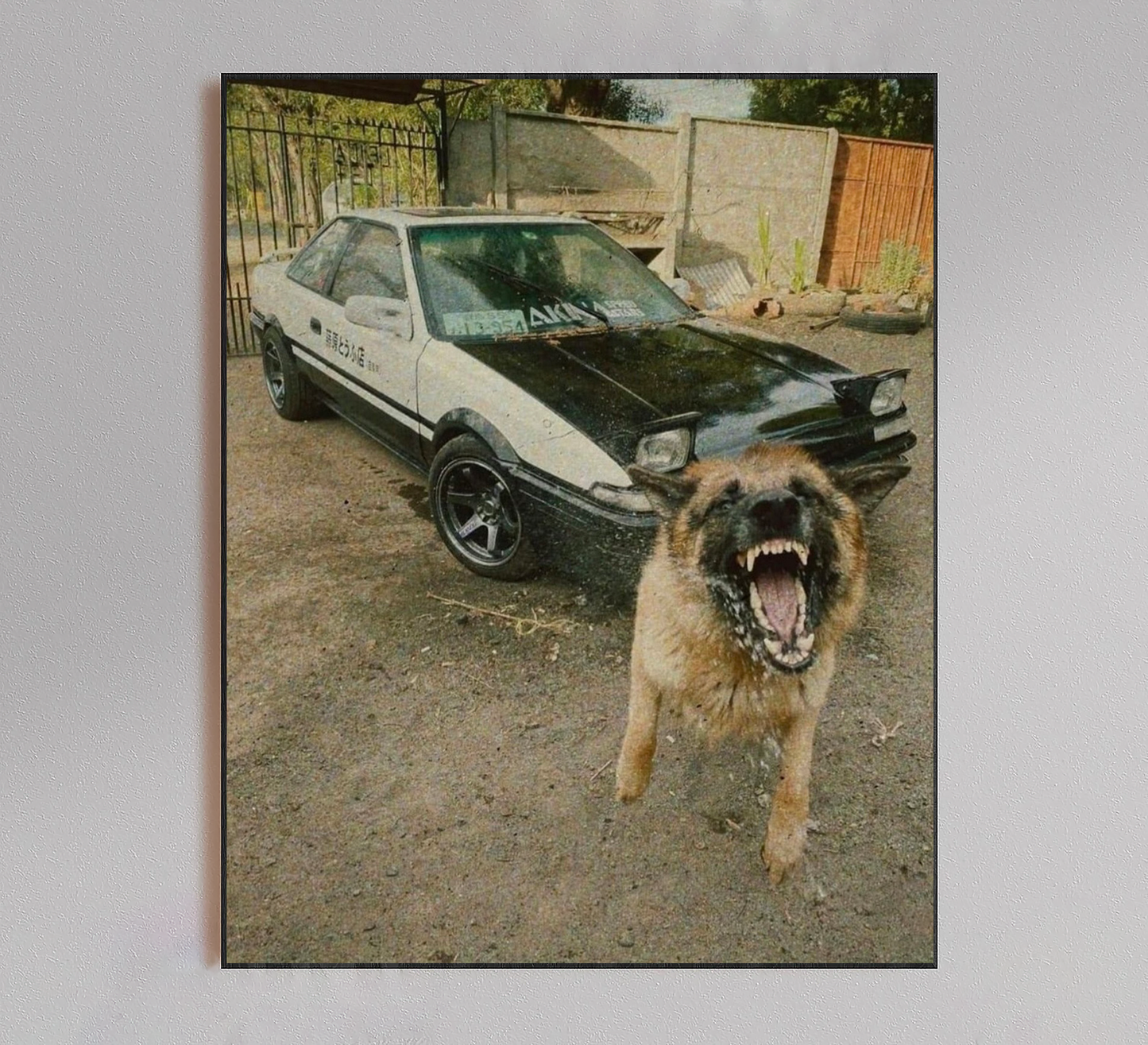 German Shepherd Barking Poster