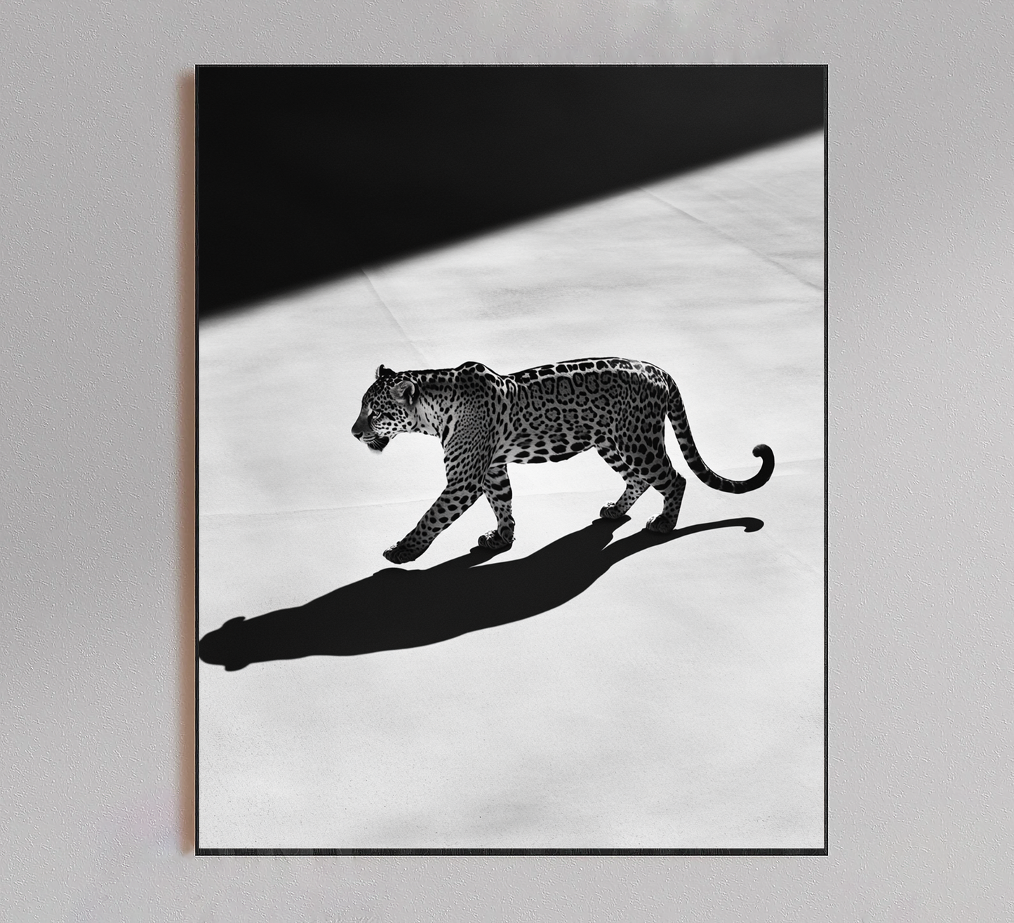 Leopard Poster