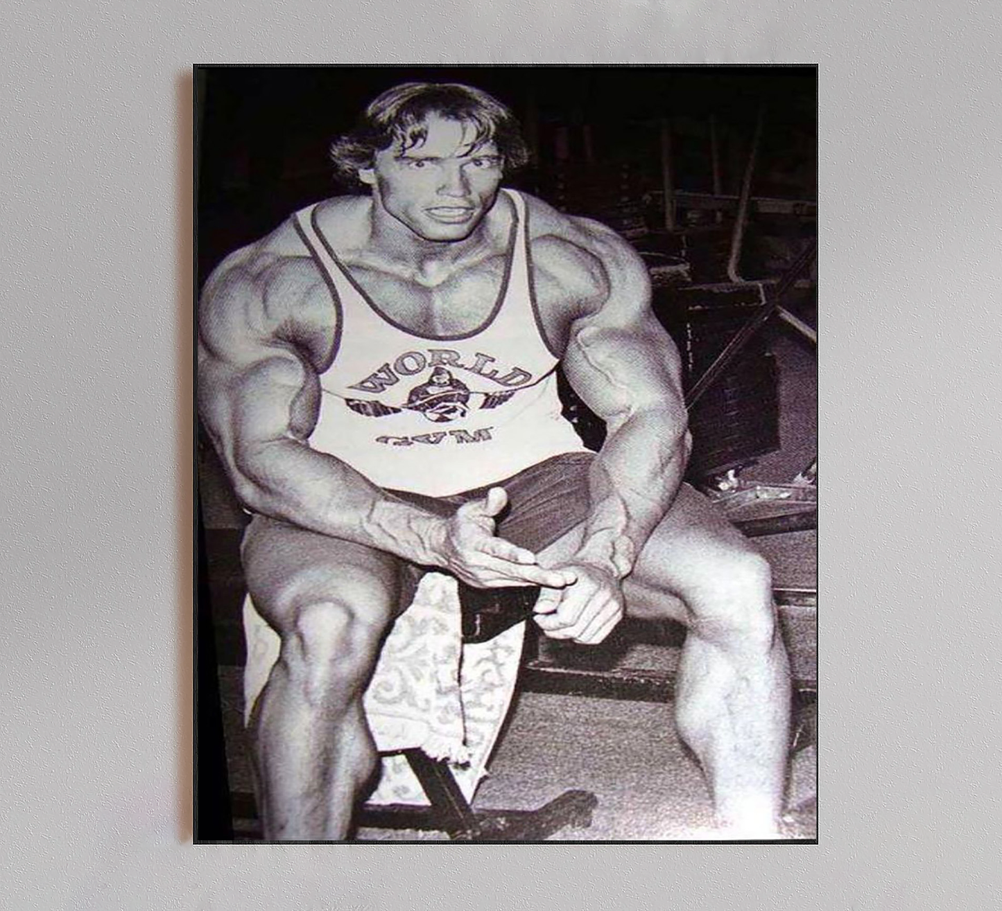 Arnold Schwarzenegger Pumped Poster