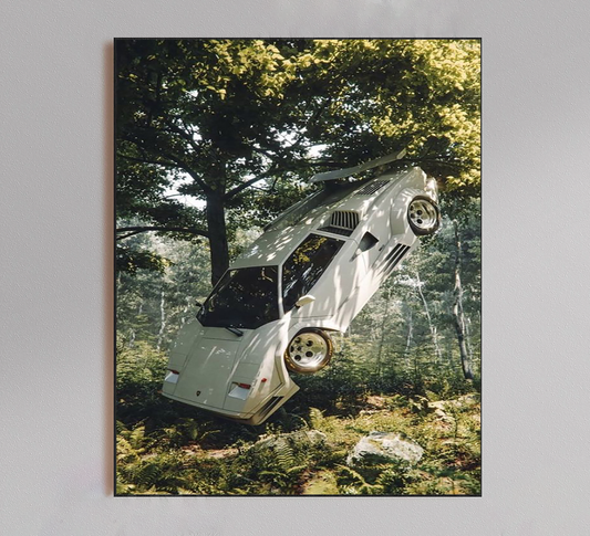 Lamborghini in Tree Poster