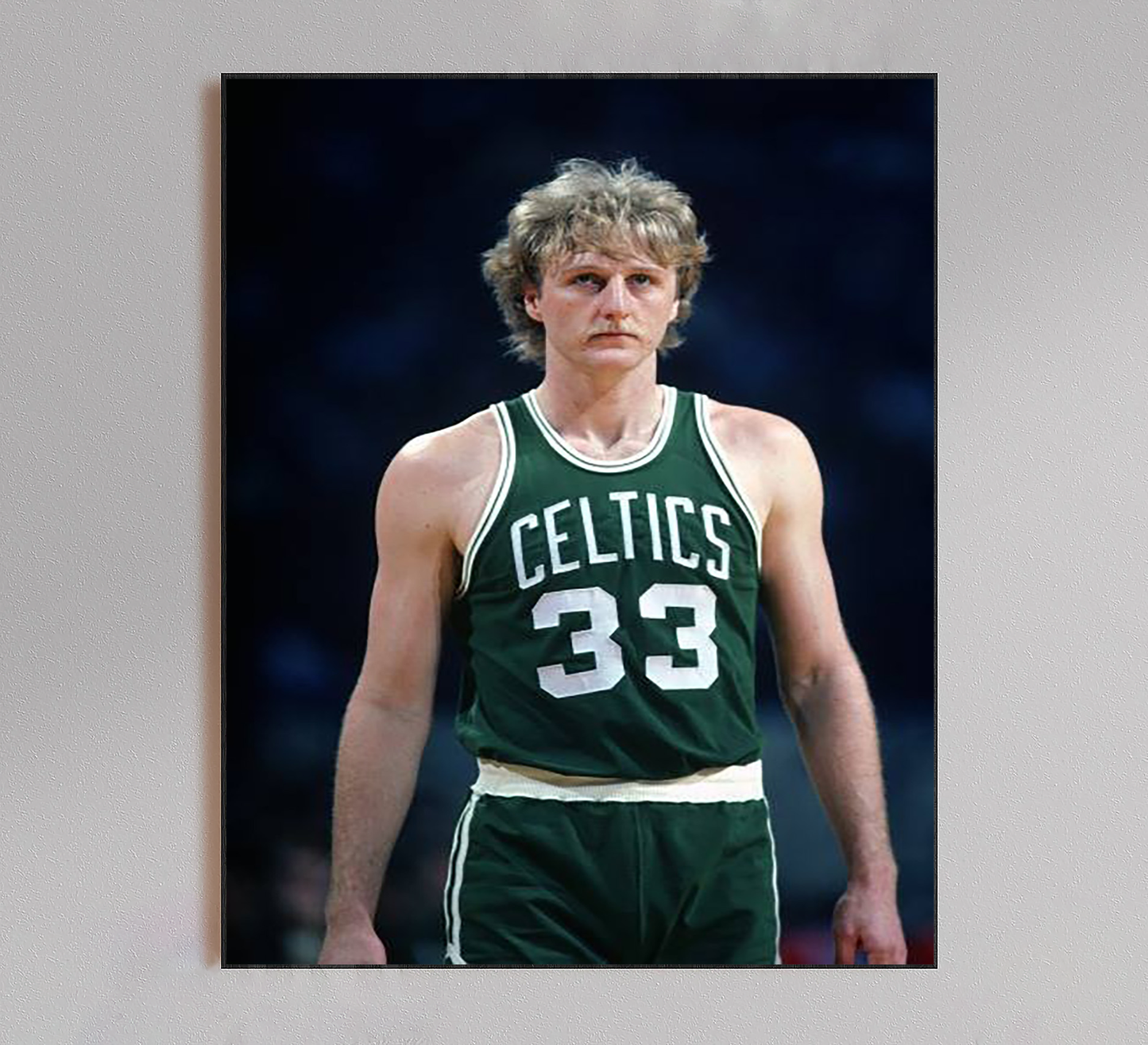 Larry Bird Poster