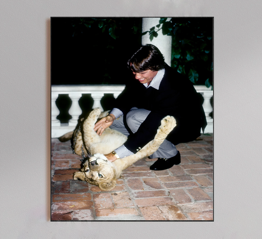 Arnold Schwarzenegger Playing With Lion Poster