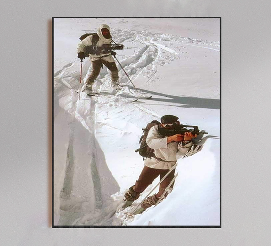 Foreign Soldiers in French Alps Poster
